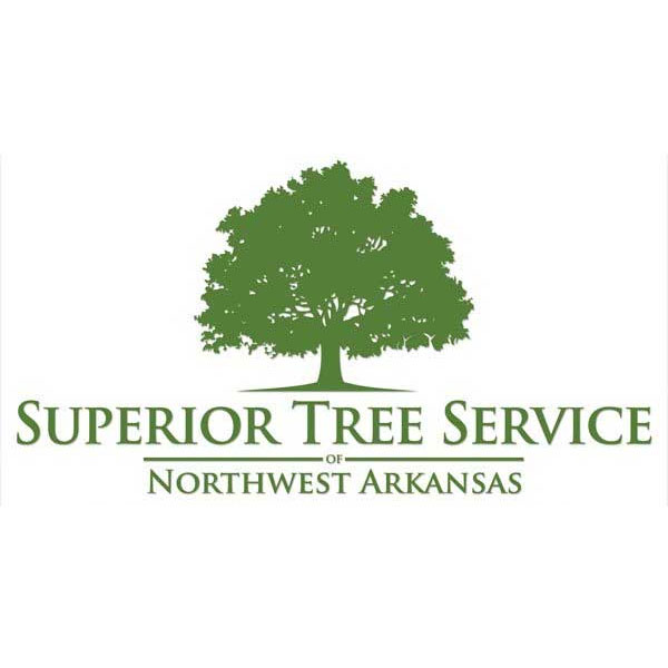 Contact Superior Tree Service Springdale